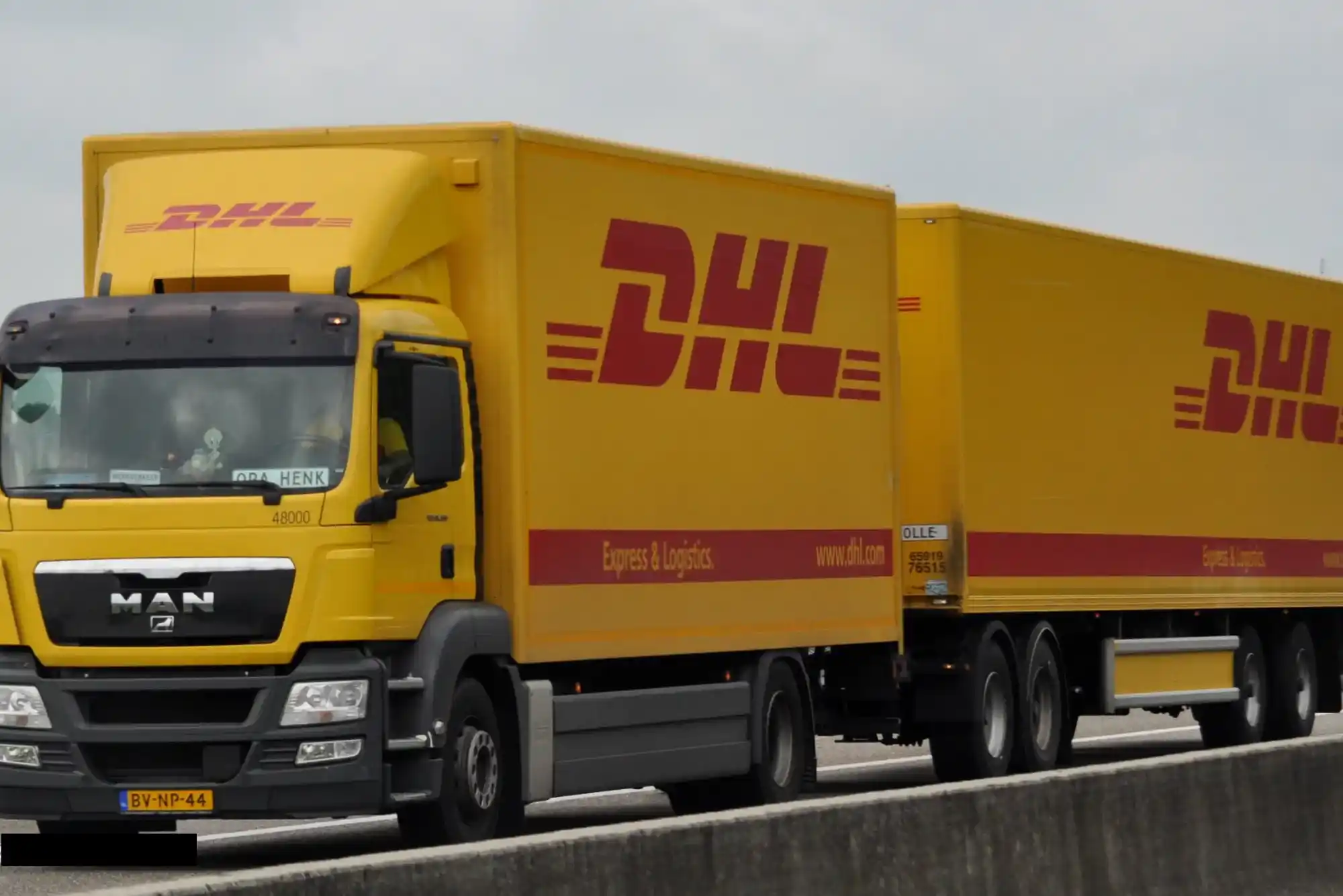 Why Choose FedEx & DHL Shipping?