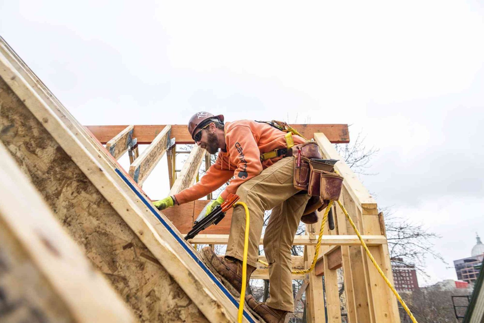 Painting & Carpentry Services in Longwood, FL